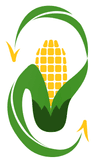 Ikon SYNCORN